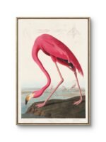 a striking and elegant flamingo, depicted in vivid pink hues