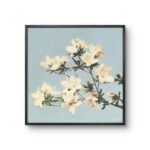 a delicate branch of azalea flowers