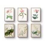 six vintage botanical