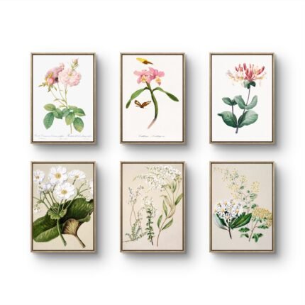 six vintage botanical