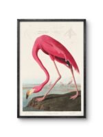 a striking and elegant flamingo, depicted in vivid pink hues