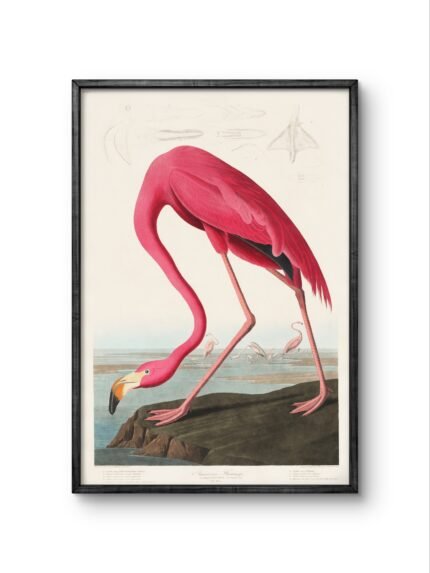 a striking and elegant flamingo, depicted in vivid pink hues