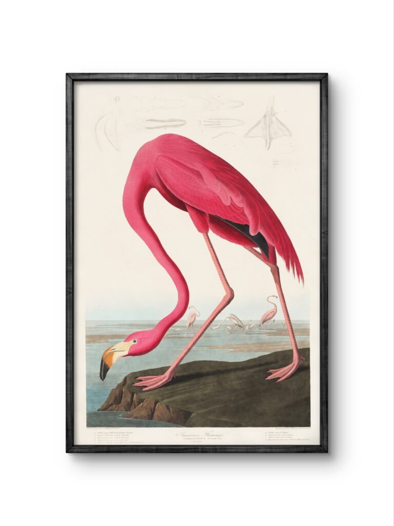 a striking and elegant flamingo, depicted in vivid pink hues