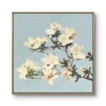 a delicate branch of azalea flowers